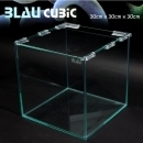 BLAU [30 cube][배송가능]