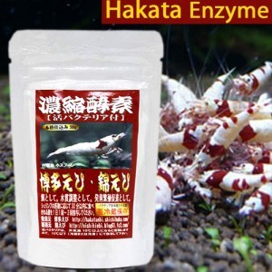 하카타 농축효소 30g (냉장보관)