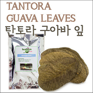 탄토라 구아바잎 20g (Tantora Guava Leaves 10 leaves/Bag) - 새우들을위한 자연영양 제품