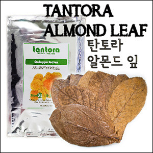 탄토라 나노 알몬드 잎(nano catappa leap) - 자연수로 바꾸어주는 신비의 피트머스
