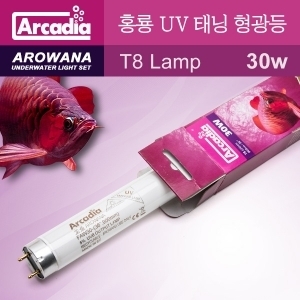 아카디아 아로와나(홍룡) UV 태닝형광등 30w 